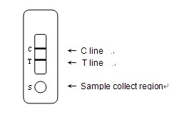 test strip.jpg